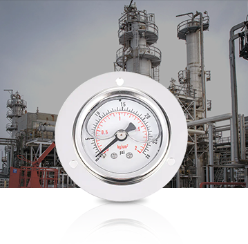 Industria petrolchimica Pressure Gauges